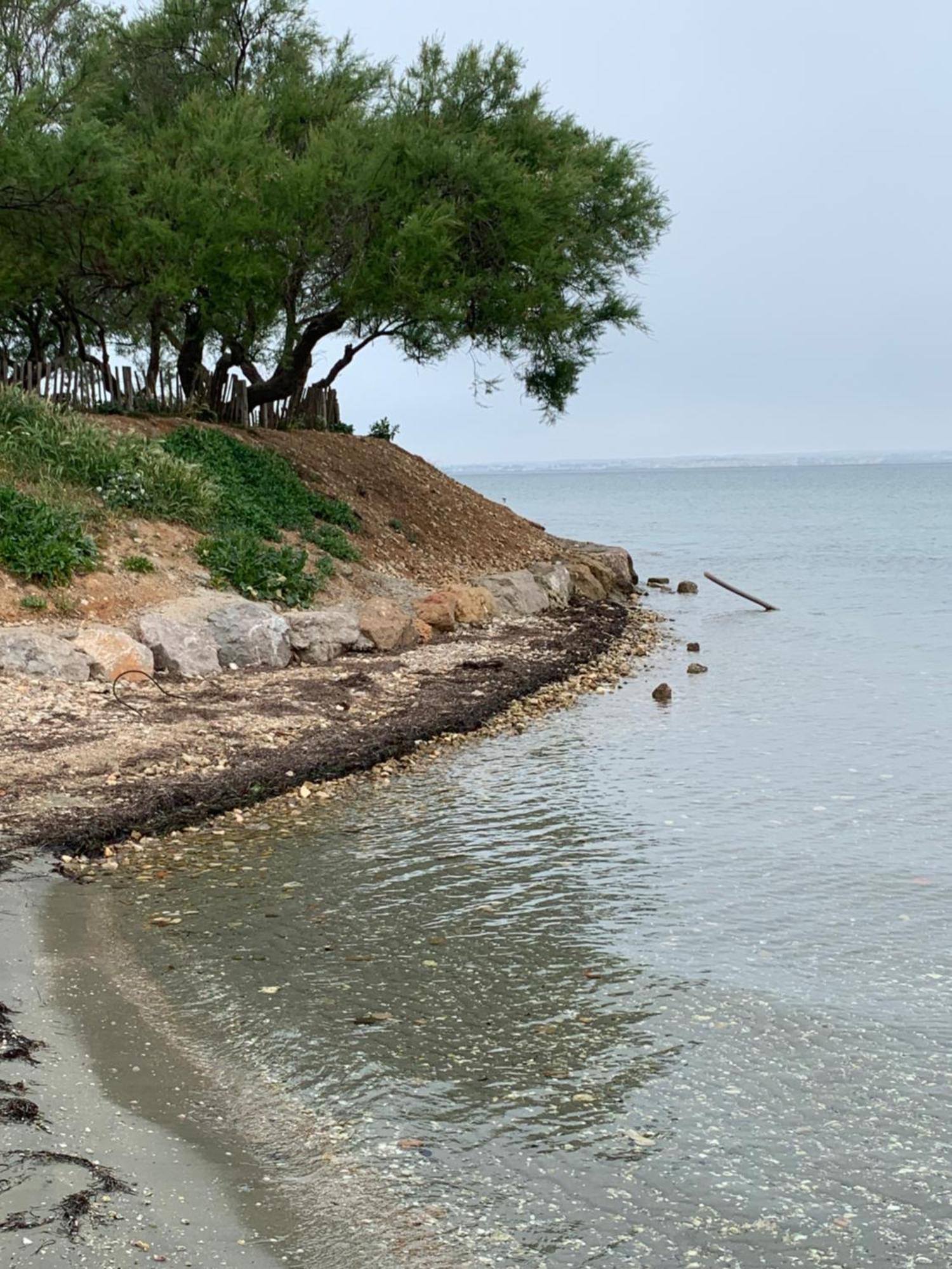 Superieur Sur L 'etang Sète
